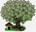 tn_money_tree5.jpg